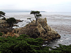 Lone Cypress  in Pebble Beach photo thumbnail