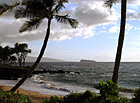 Maui Beach, Palm Trees & Ocean photo thumbnail