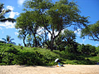 Umbrella on Beach photo thumbnail