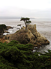 The Lone Cypress in Pebble Beach photo thumbnail