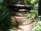 Shadows and Trail photo thumbnail