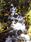 Nickel Creek, Mt. Rainier National Forest photo thumbnail
