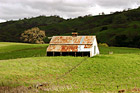 Green Grass and Old Barn photo thumbnail