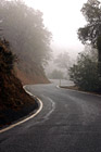 Curvy Road with Fog photo thumbnail