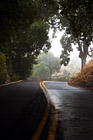 Road with Fog & Shadows photo thumbnail