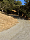 Shadows on Curvy Road photo thumbnail