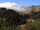 Fog Rolling over Road in San Francisco photo thumbnail