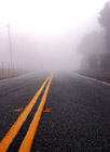 Endless Foggy Road photo thumbnail
