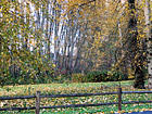 Fall Colors photo thumbnail