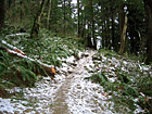 Mt. Peak Icy Trail photo thumbnail