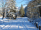 Beautiful Winter Snow Scene photo thumbnail