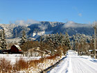 Winter Snow Landscape photo thumbnail