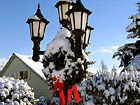 Christmas Wreath in Snow photo thumbnail