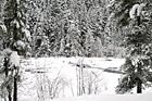 Snow & Covered Water photo thumbnail
