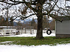 Tire Swing & Snow photo thumbnail