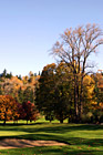 Fall Colors on Golf Course photo thumbnail