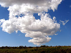 Bright Puffy Clouds photo thumbnail