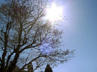 Sunshine photo thumbnail