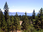 Lake Tahoe Through Trees photo thumbnail