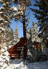 Cabin Scene in Lake Tahoe photo thumbnail