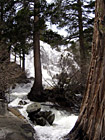 Lower Eagle Falls at Lake Tahoe photo thumbnail