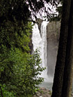Snoqualmie Falls Behind Trees photo thumbnail