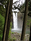 Snoqualmie Falls Between Trees photo thumbnail