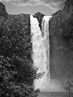 Snoqualmie Falls in Black & White photo thumbnail