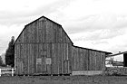 Black & White Brown Barn & Clouds preview