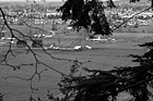 Black & White View of Farms & Enumclaw preview