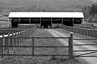 Black & White Farm Shed & Gate preview