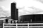 Black & White Blue Silo preview