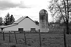 Black & White White Barn, Silo & Tree preview