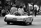 Black & White Daffodil Parade Car & Daffodils preview