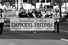 Black & White Daffodil Parade Sign preview