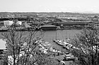 Black & White Commencement Bay, Trees, & Boats preview