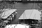 Black & White Tacoma Commencement Bay Boats preview