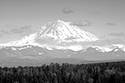 Black & White Mt. Rainier, Blue Sky & Scattered Clouds preview