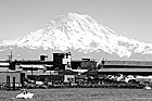 Black & White Mt. Rainer From Tacoma Sound preview