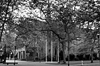 Black & White Eastvold Chapel Through Trees preview