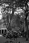 Black & White Flowers, Flag & Eastvold Chapel preview