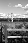 Black & White Narrows Bridge Construction & Fence preview