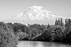 Black & White Mt. Rainier & Puyallup River preview
