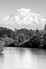 Black & White Mt. Rainier, Blue Sky & Puyallup River preview