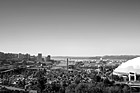 Black & White Tacoma From a Hill preview