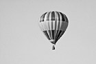 Black & White Hot Air Balloon preview