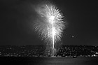 Black & White Fireworks in Tacoma preview