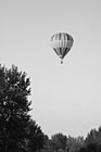 Black & White Scenic Hot Air Balloon preview