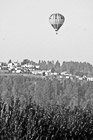 Black & White Hot Air Balloon, Trees, & Crystal Ridge preview