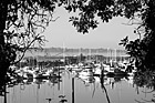 Black & White Sailboats of Tacoma Commencement Bay preview